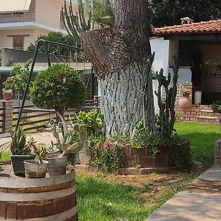 Apartament Alice House 1 Amarynthos Zewnętrze zdjęcie